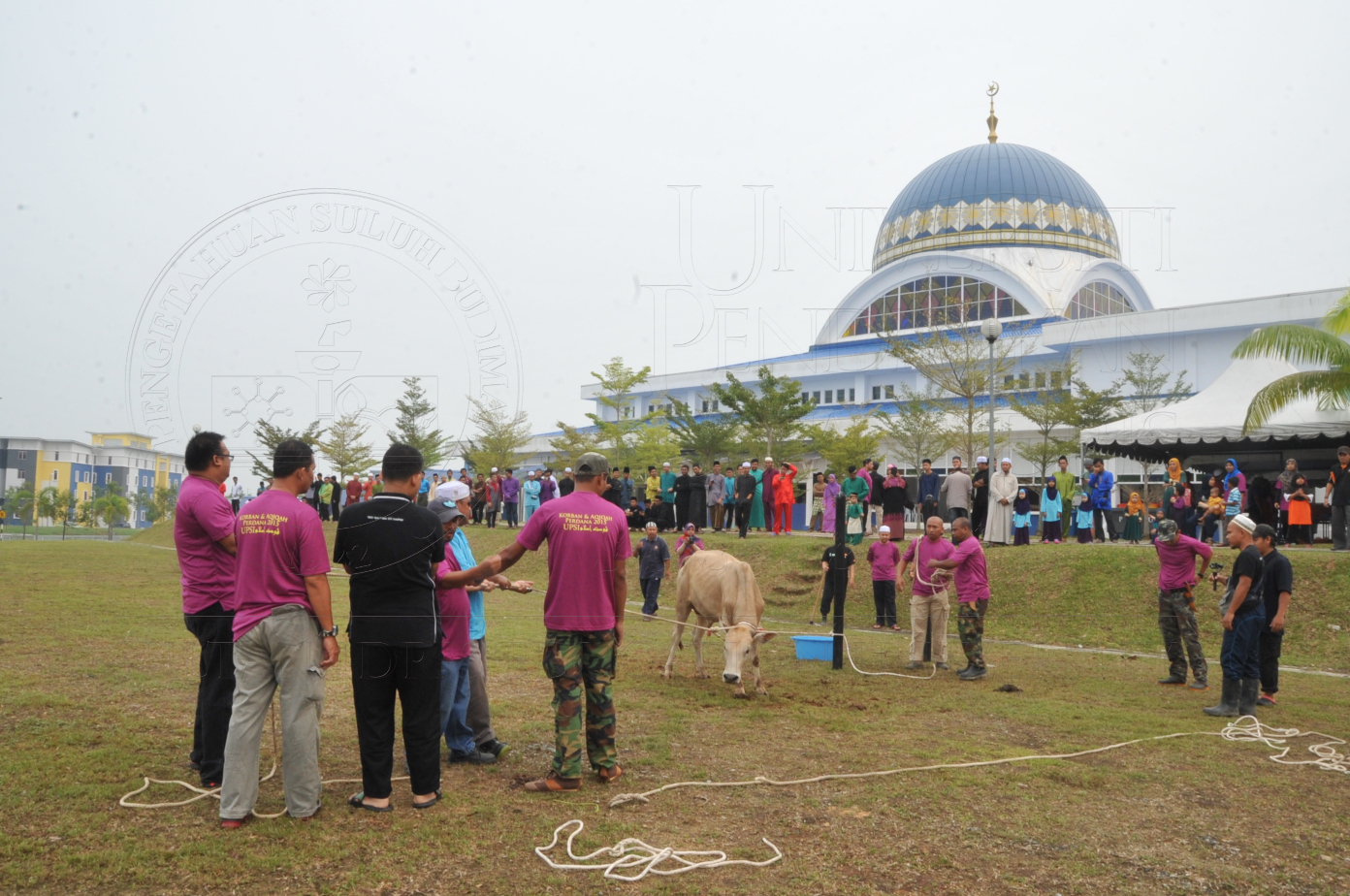 PRO15 150 KORBAN HAS 6670